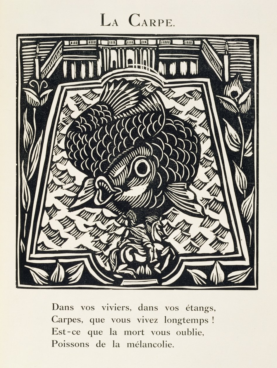 The Carp, Illustration from 