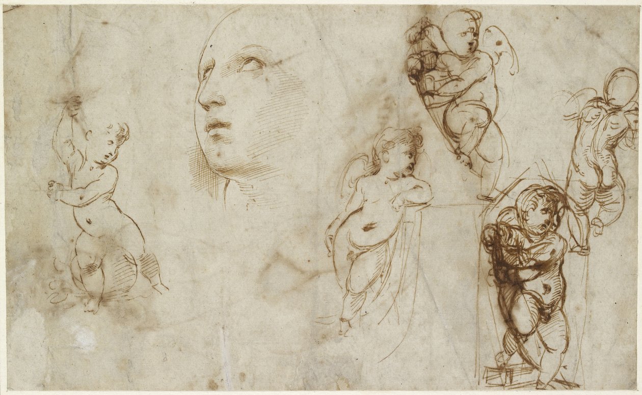 A Female Head for Borghese-Beckford St Catherine and Various Putti by Raffaello Sanzio Raphael