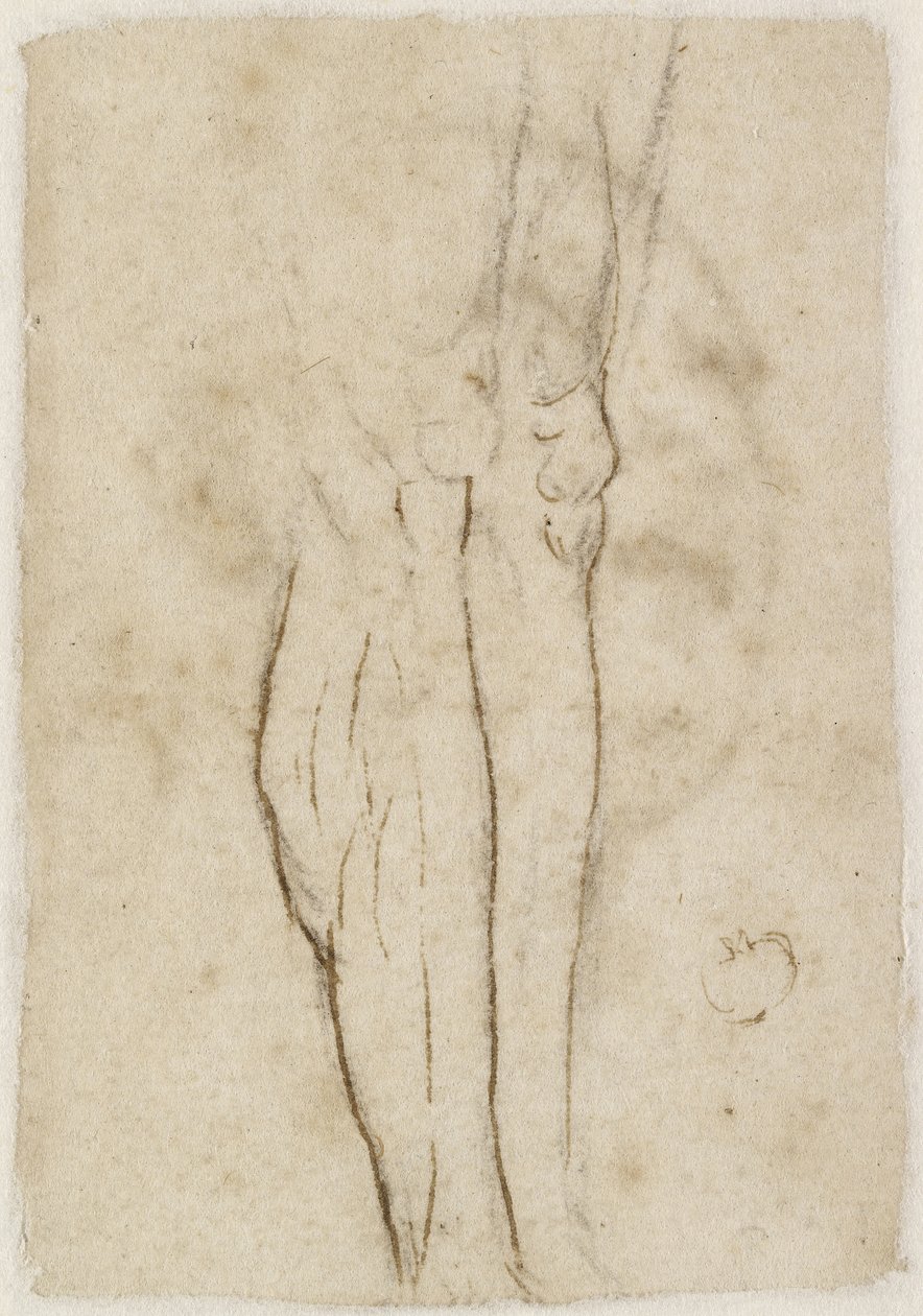 Verso: Sketch of a Pair of Legs by Raffaello Sanzio Raphael