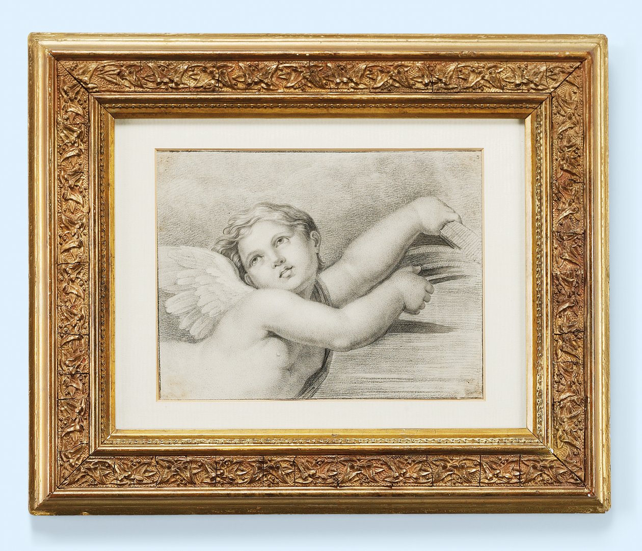 Head of a putto by after Raphael