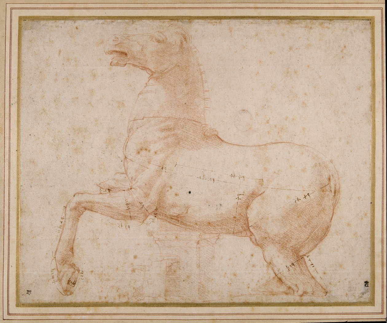 Study of a horse by Raphael