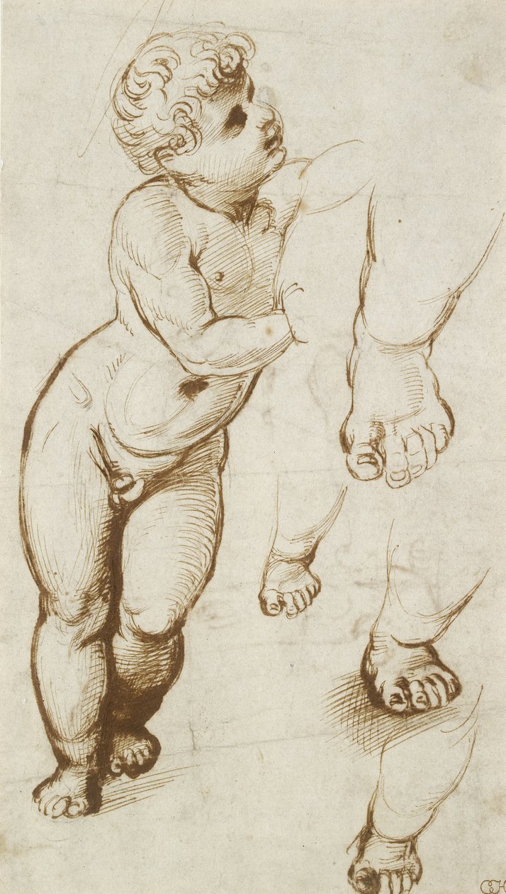 The Infant Christ and other Studies by Raphael