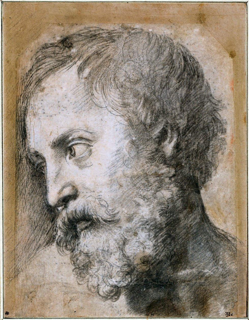 Head of An Apostle (detail) by Raffaello Sanzio Raphael