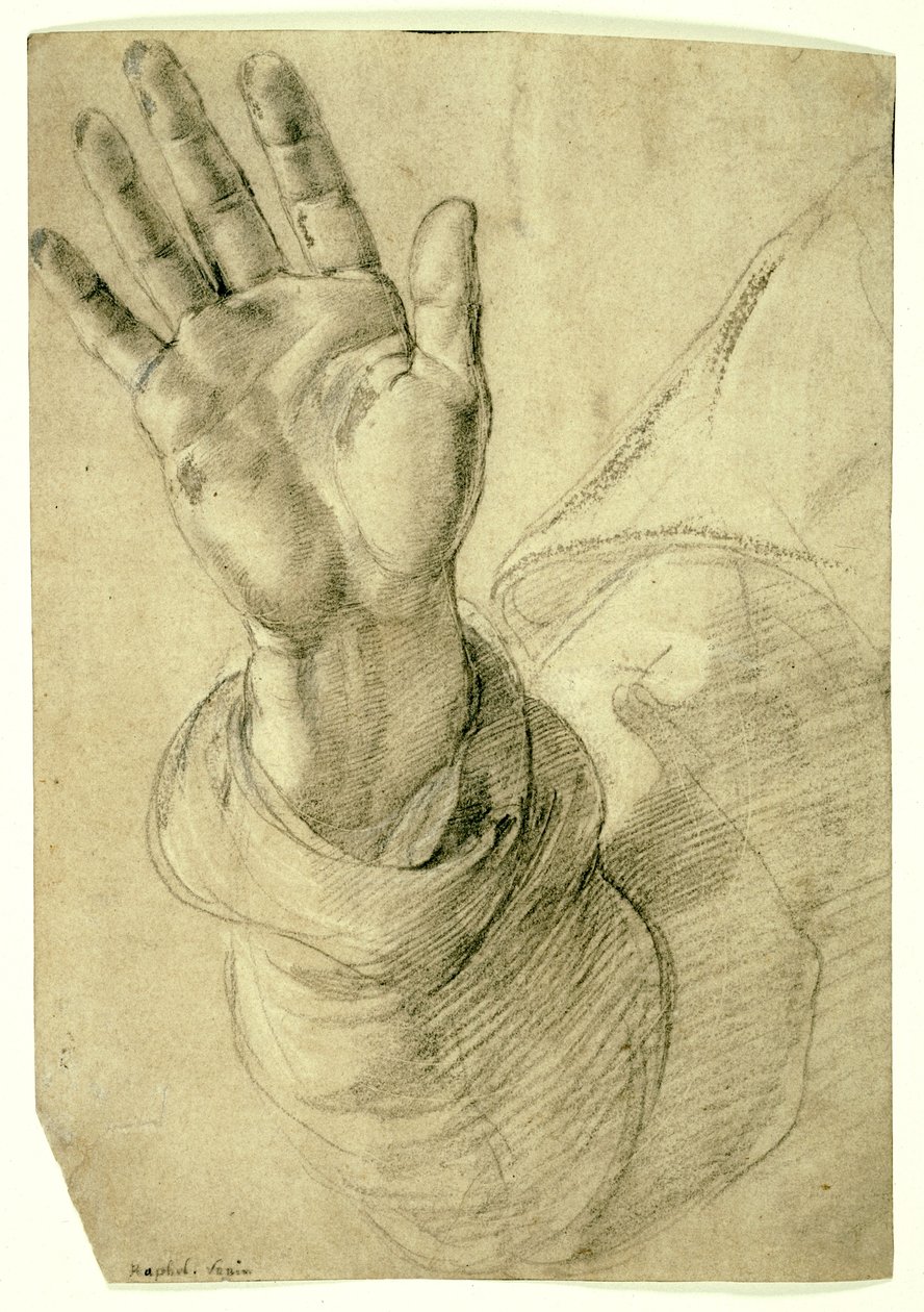 Upraised Right Hand, with Palm Facing Outward: Study for Saint Peter by Raphael