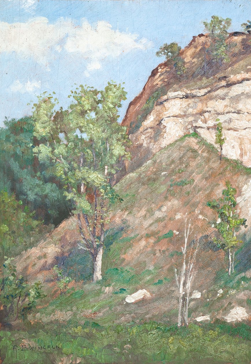 Trees in front of a small cliff by Raymond Bonnefon