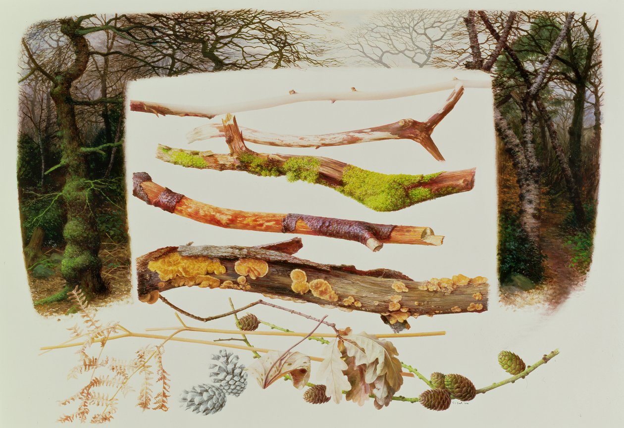 Items from the Winter Woodland, 2000 by Raymond Booth