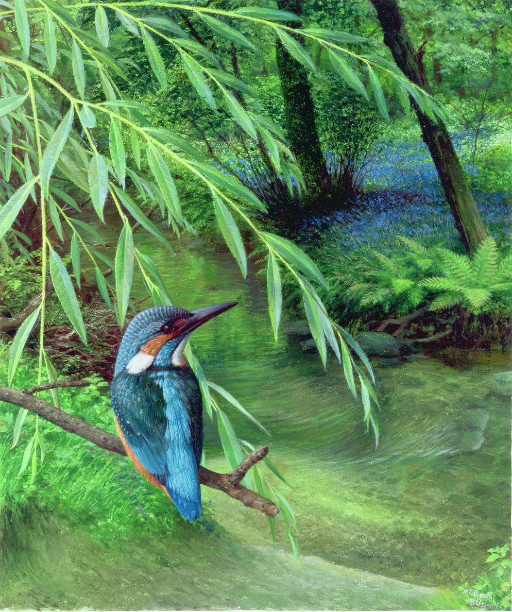 Kingfisher by Raymond Booth