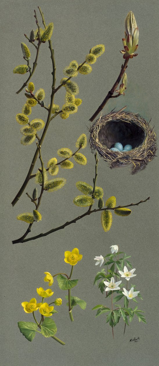 Spring studies by Raymond Booth