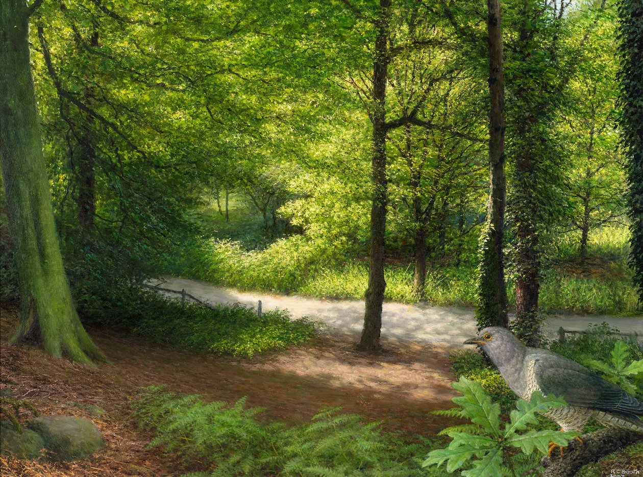 Woodland with Collared Dove by Raymond Booth