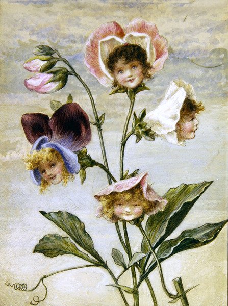Geranium & Sweet Pea- Flower Children- a pair by Rebecca Coleman