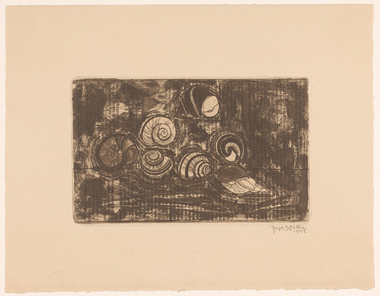 Seven Shells by Reijer Stolk (signed by artist)