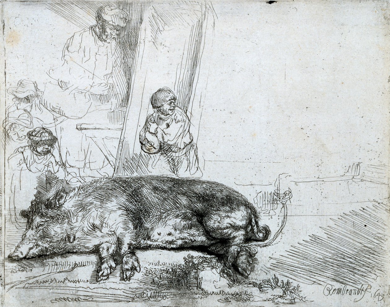 The Hog by Rembrandt van Rijn