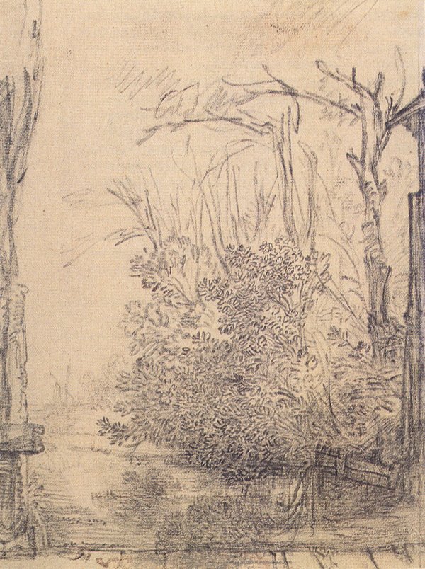 Overhanging Bushes on a Ditch by Rembrandt van Rijn