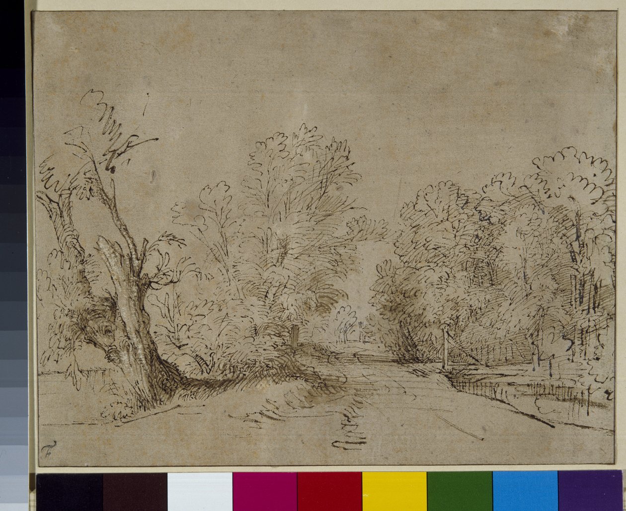 A wooded road, c.1650 by Rembrandt Harmensz. van Rijn