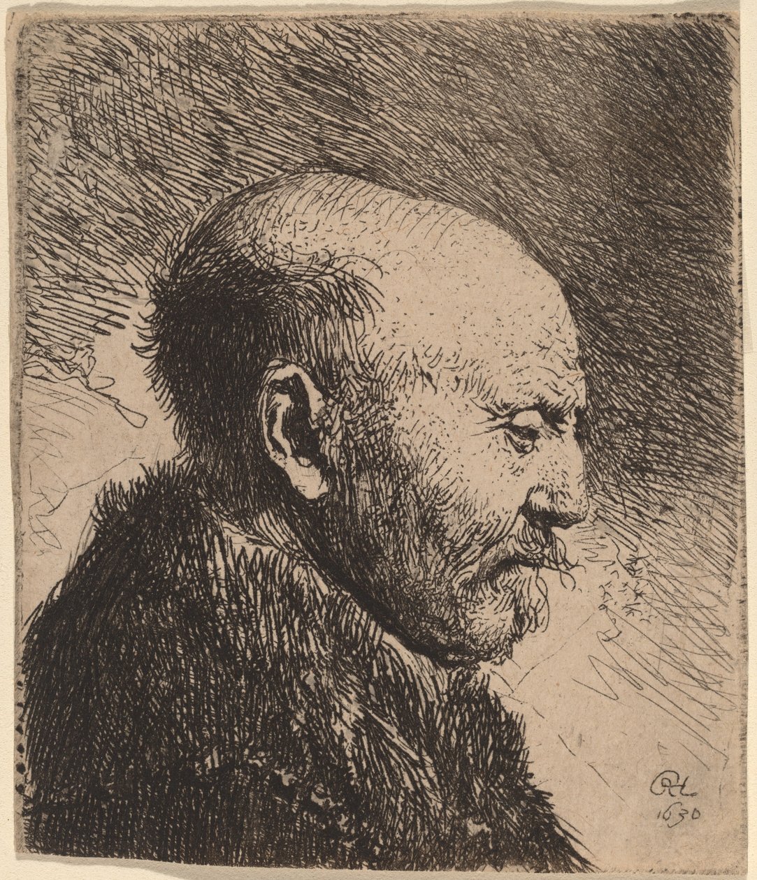 A Bald Man in Profile (The Artist