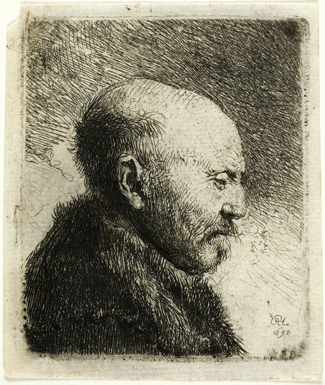 Bald Headed Man in Profile Right: The Artist