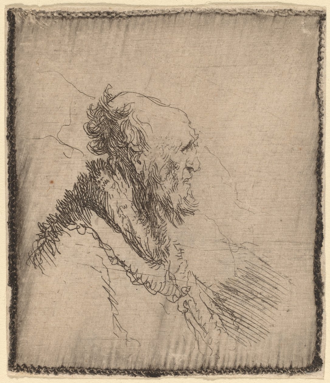 Bald Old Man with a Short Beard in Profile by Rembrandt van Rijn
