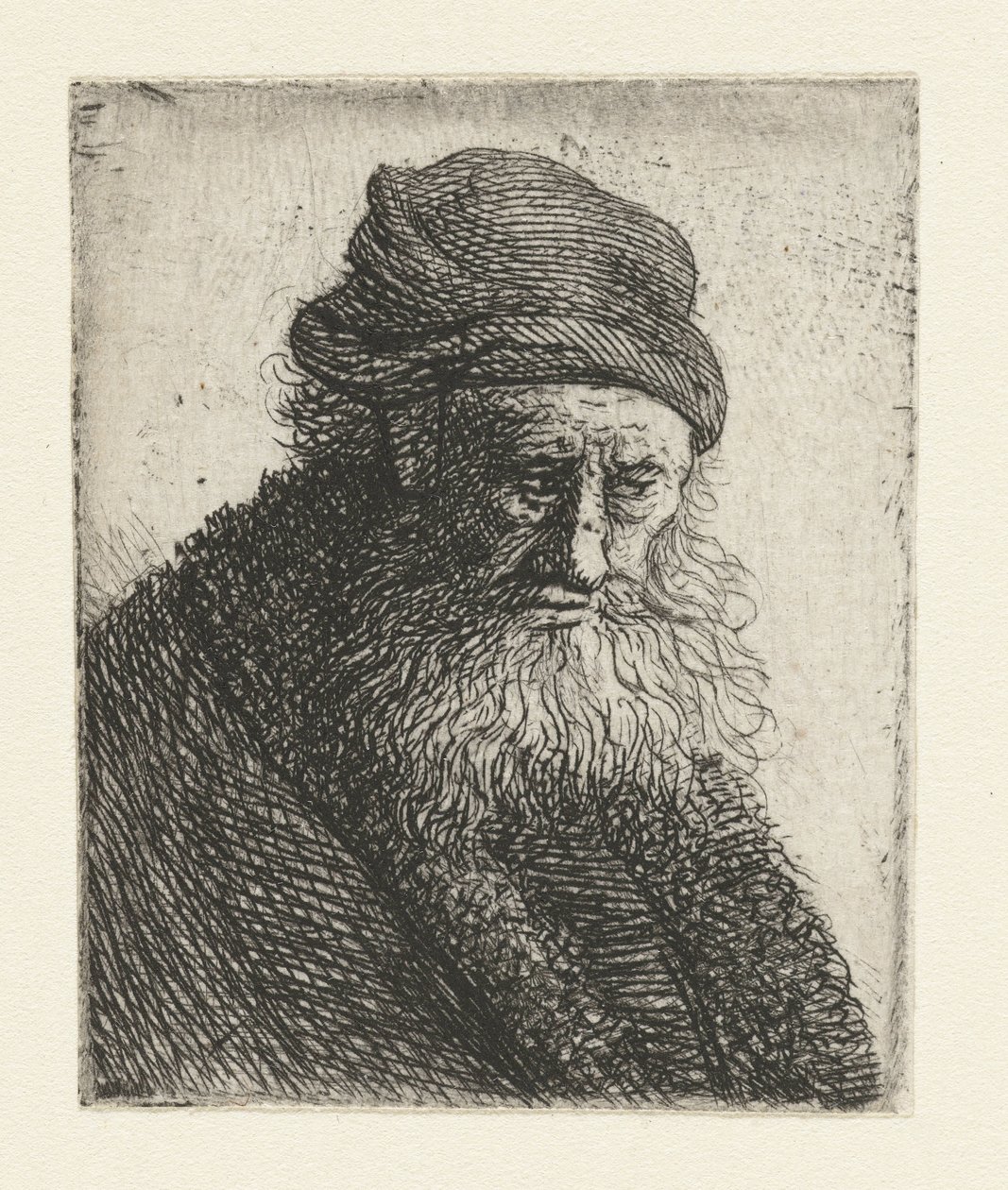 Bearded Man with Short Wavy Hair: Bust by Rembrandt van Rijn