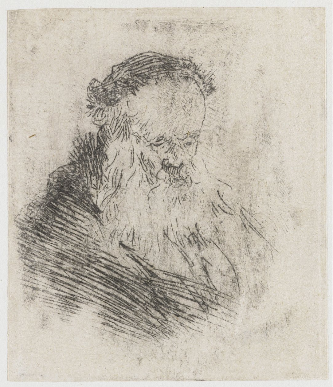 Bearded Old Man with High Forehead by Rembrandt van Rijn