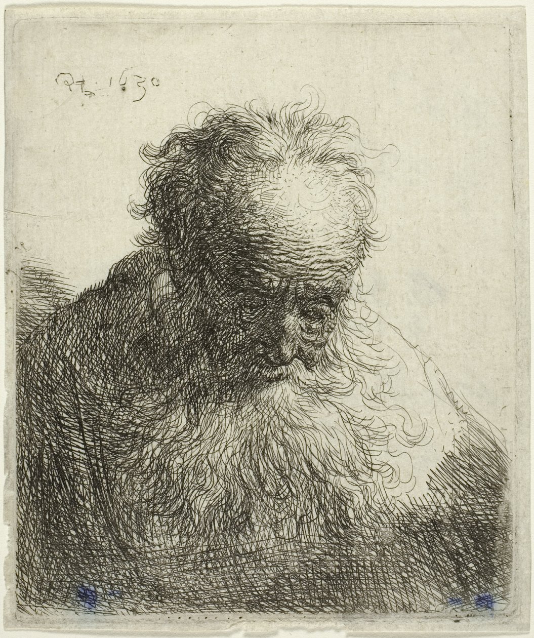 Bust of an Old Man with a Flowing Beard: The Head Bowed Forward: Left Shoulder Unshaded by Rembrandt van Rijn