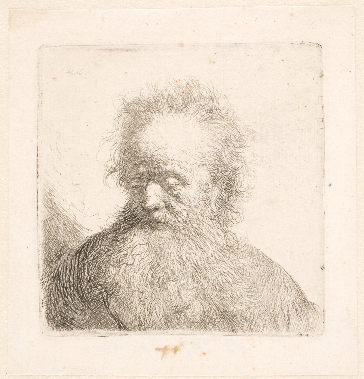 Bust of an Old Man with Flowing Beard by Rembrandt van Rijn