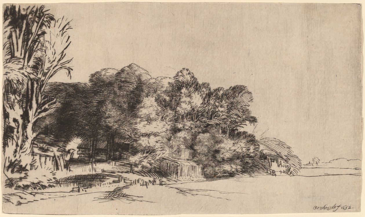Clump of Trees with a Vista by Rembrandt van Rijn
