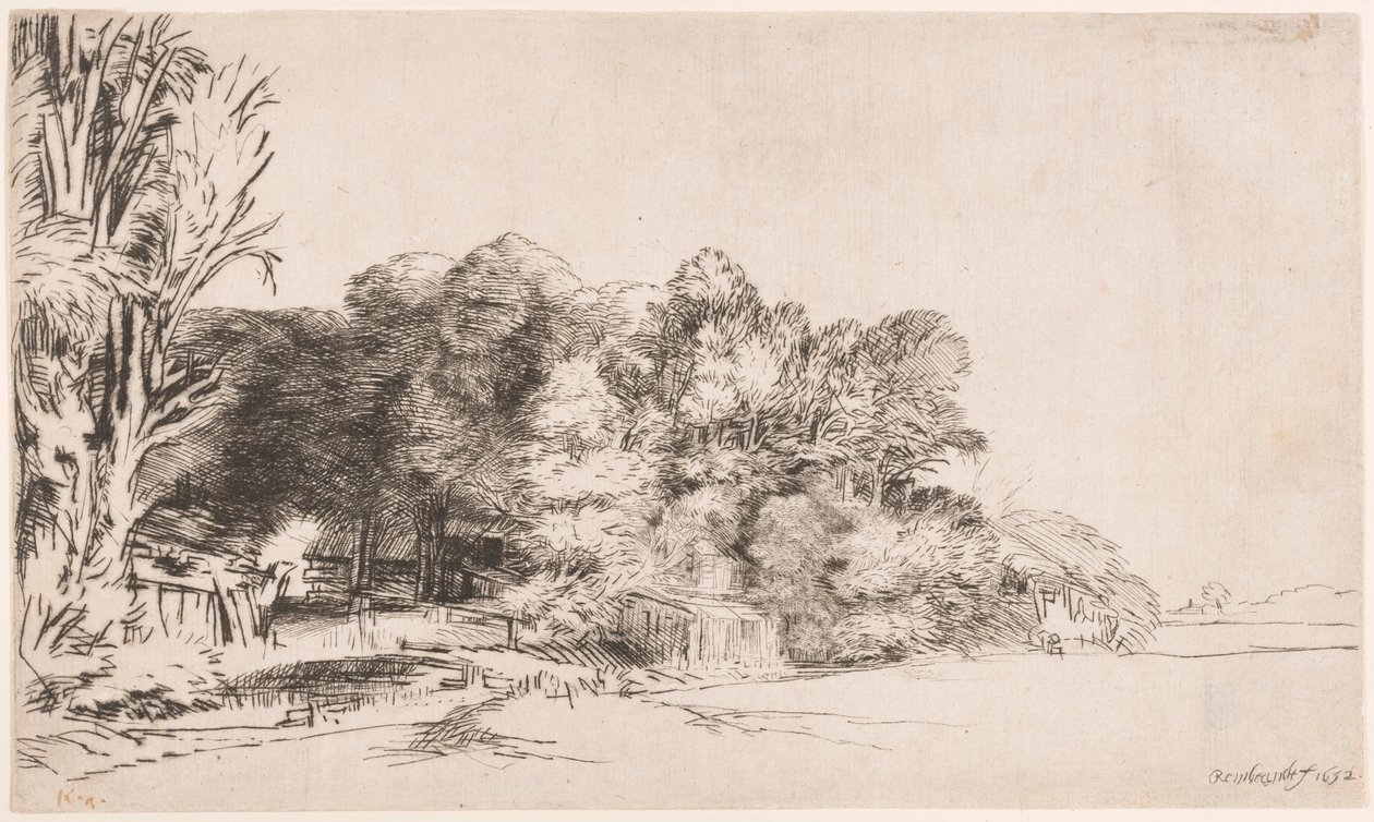 Clump of Trees with a Vista by Rembrandt van Rijn