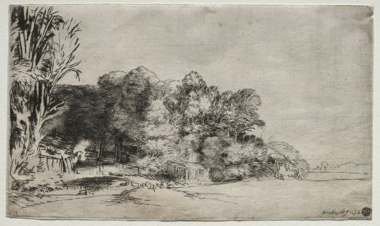 Clump of Trees with a Vista by Rembrandt van Rijn