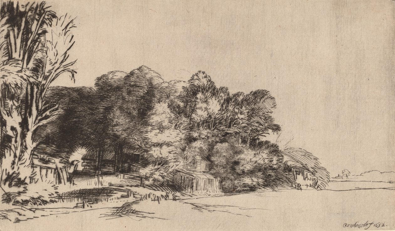 Clump of Trees with a Vista by Rembrandt van Rijn
