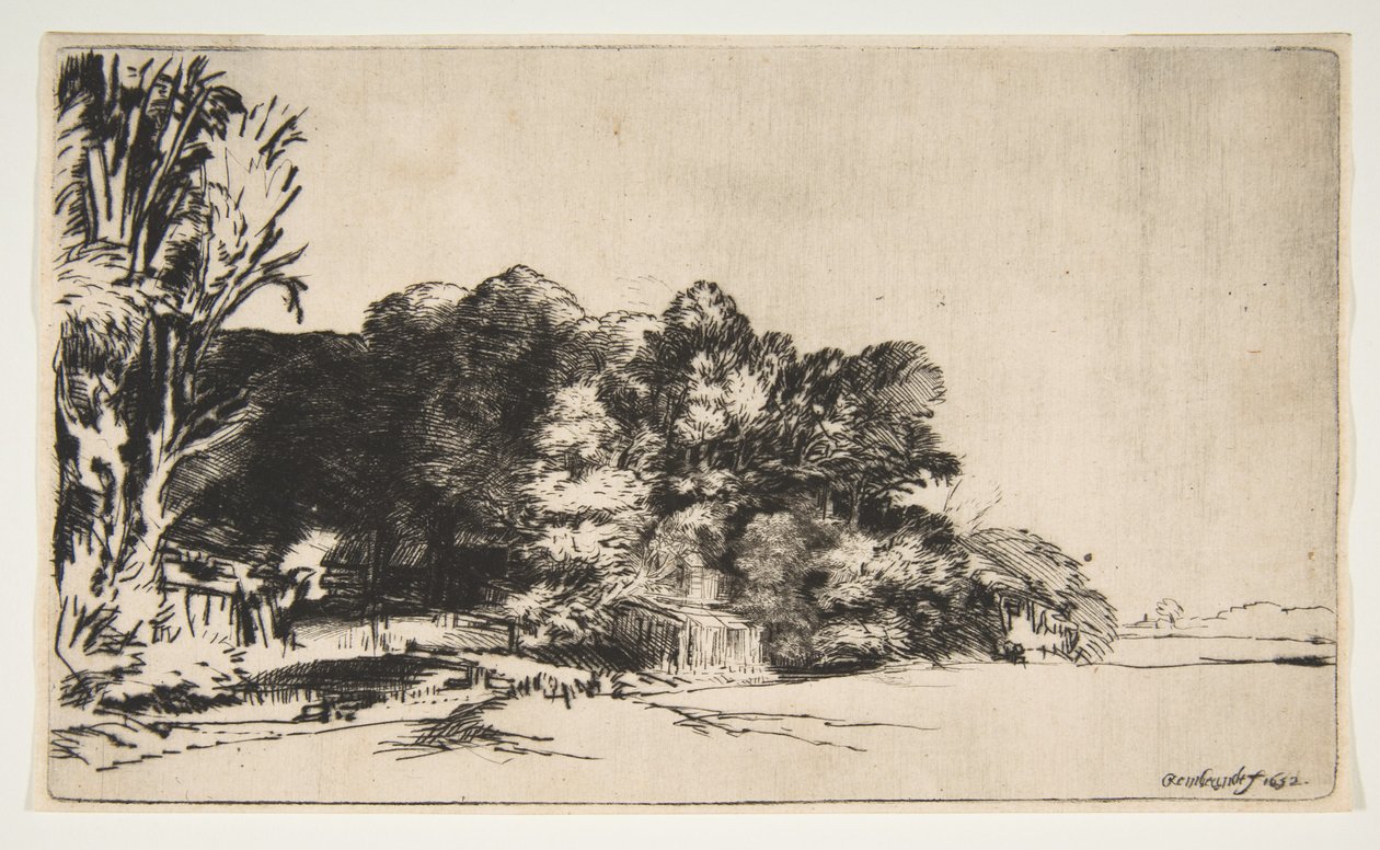 Clump of Trees with a Vista by Rembrandt van Rijn