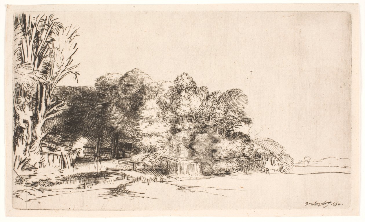Clump of Trees with a Vista by Rembrandt van Rijn