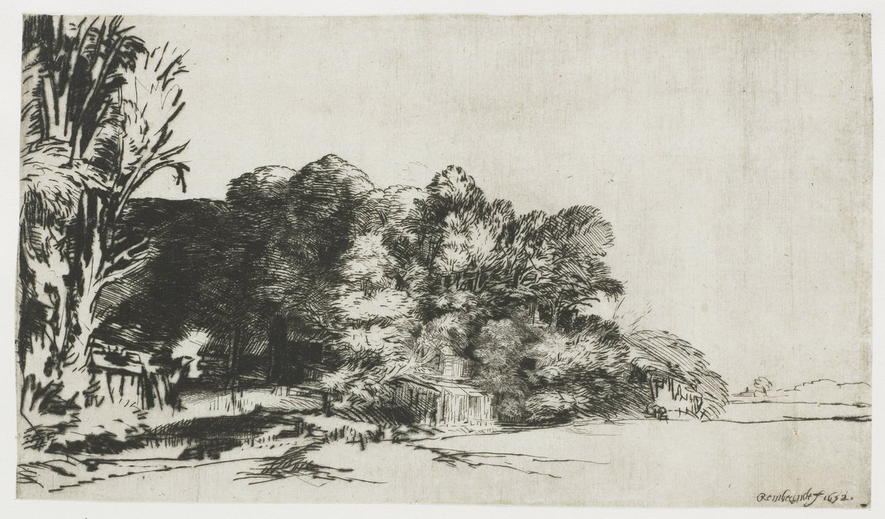 Clump of Trees with a Vista by Rembrandt van Rijn