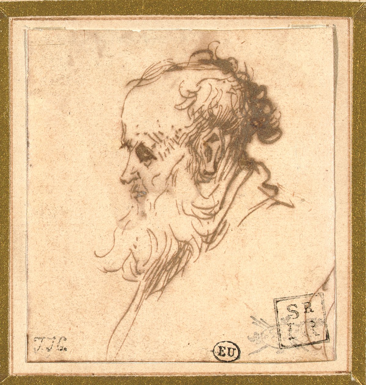Head of a Bearded Man in Profile to the Left by Rembrandt van Rijn