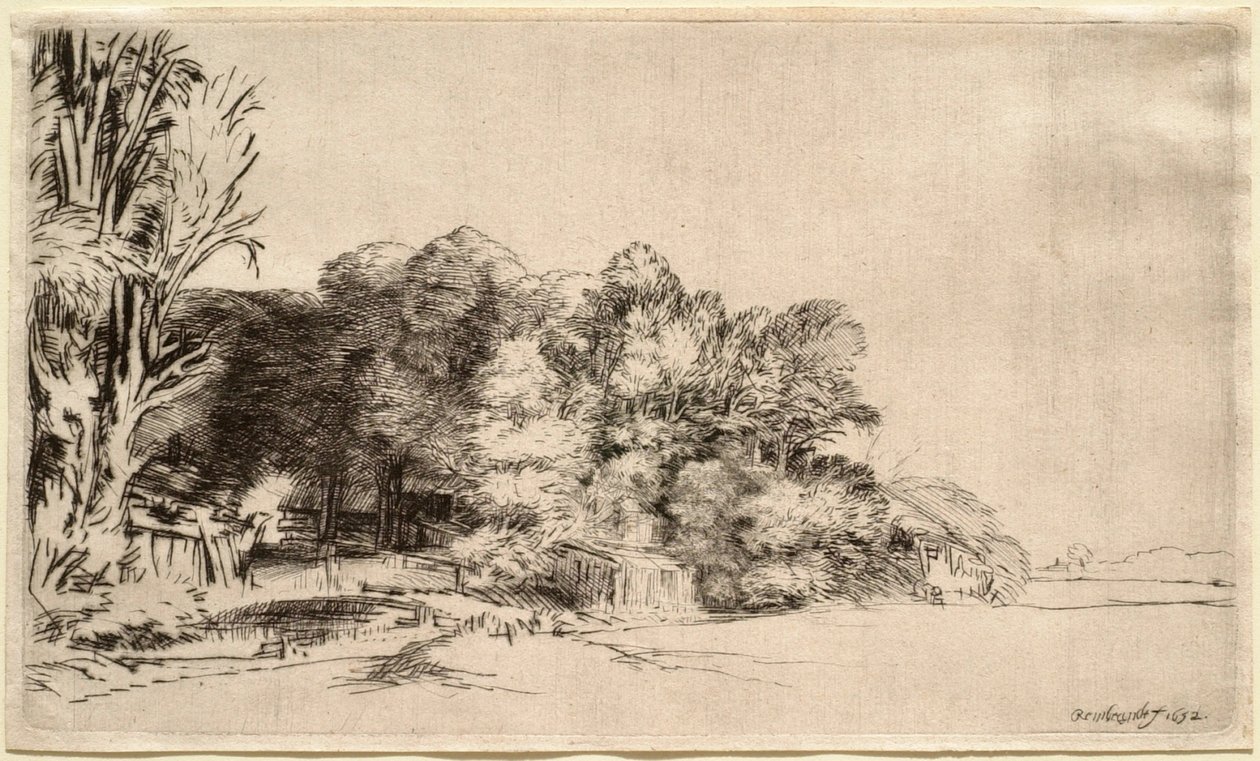 Landscape with a Clump of Trees by Rembrandt van Rijn