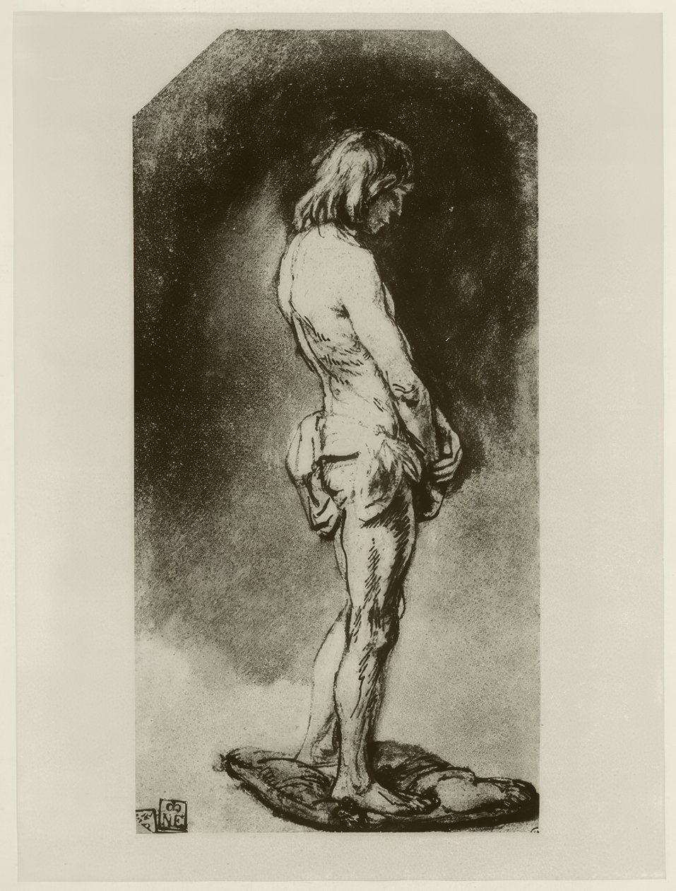 Male Nude by Rembrandt van Rijn