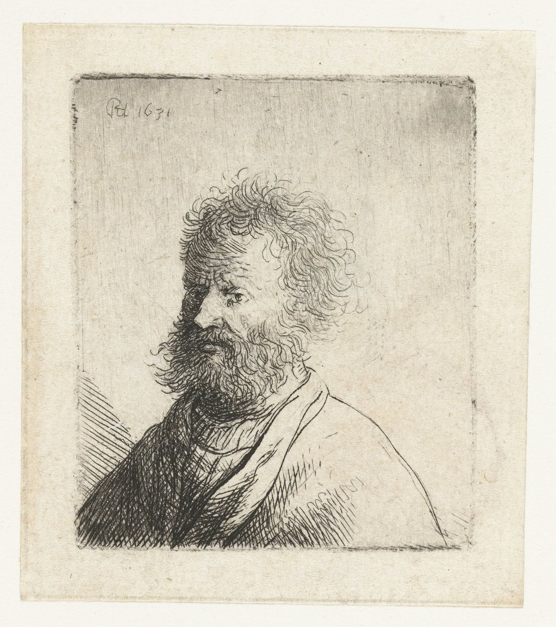 Man with Square Beard and Curly Hair: Bust by Rembrandt van Rijn