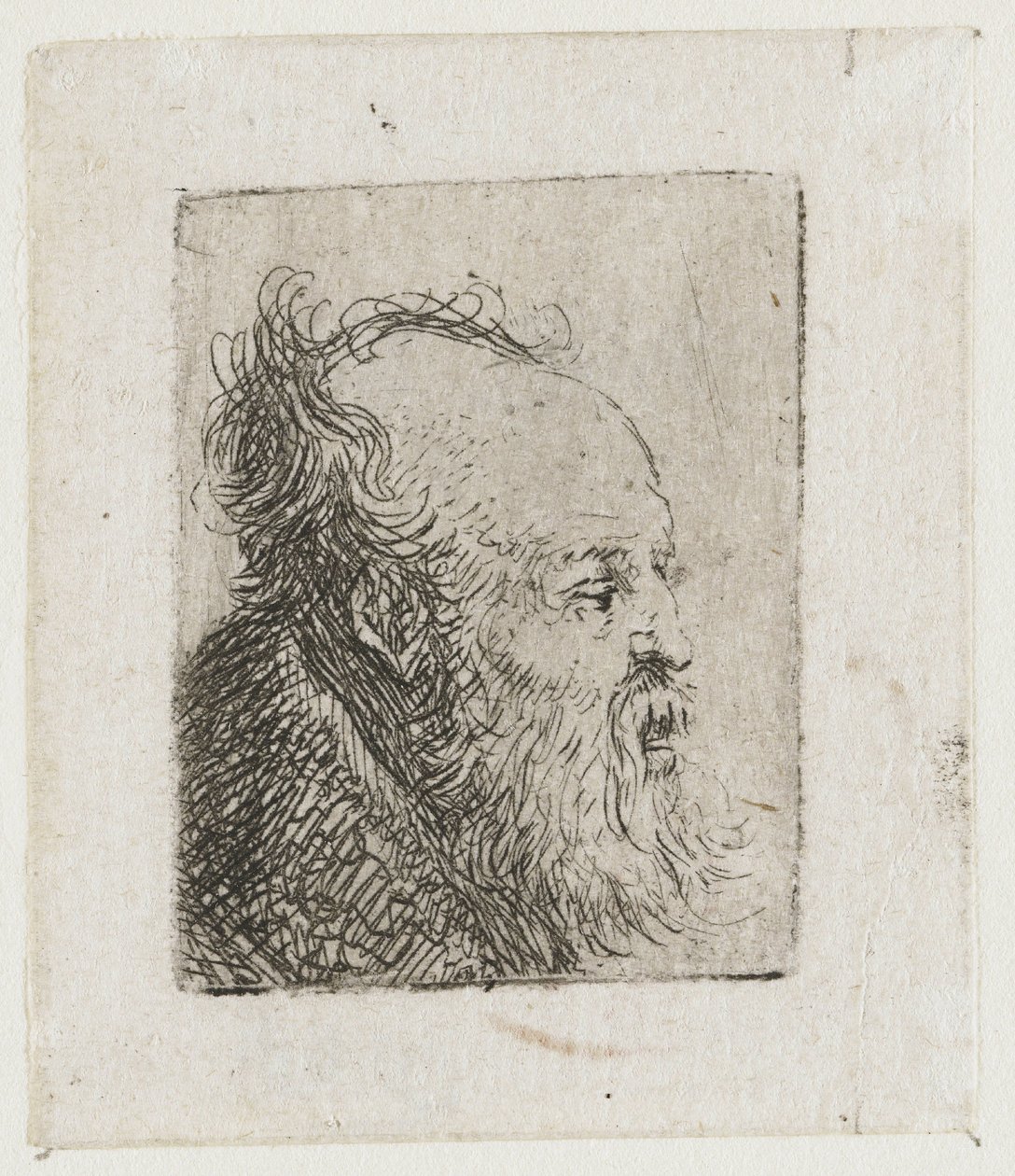 Old Bearded Man, Mouth Half Open by Rembrandt van Rijn