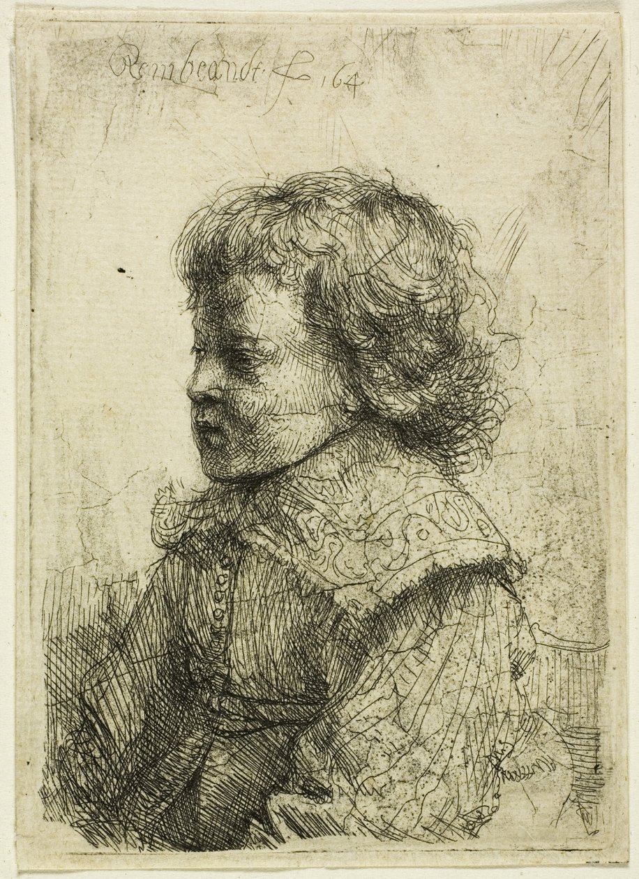 Portrait of a Boy by Rembrandt van Rijn