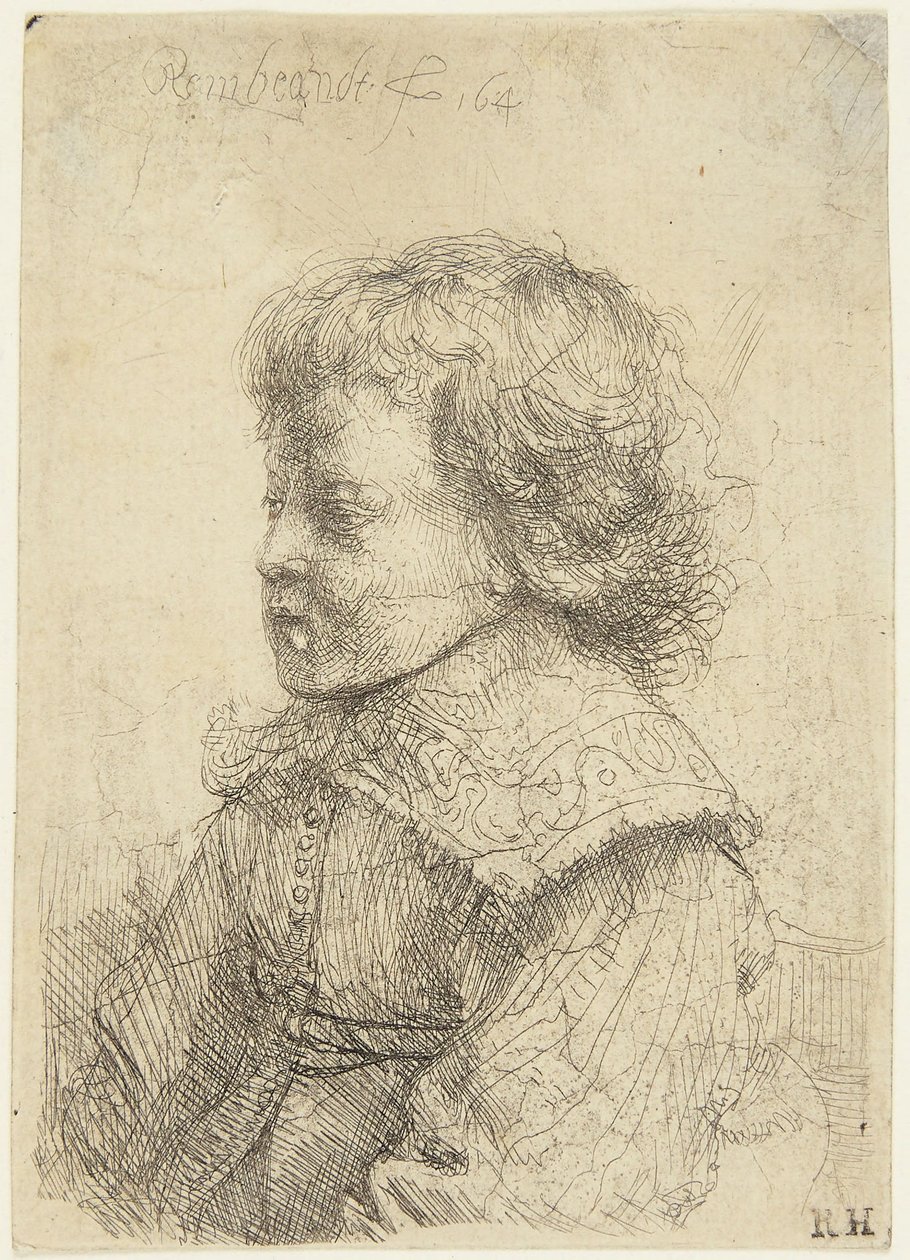 Portrait of a Boy by Rembrandt van Rijn