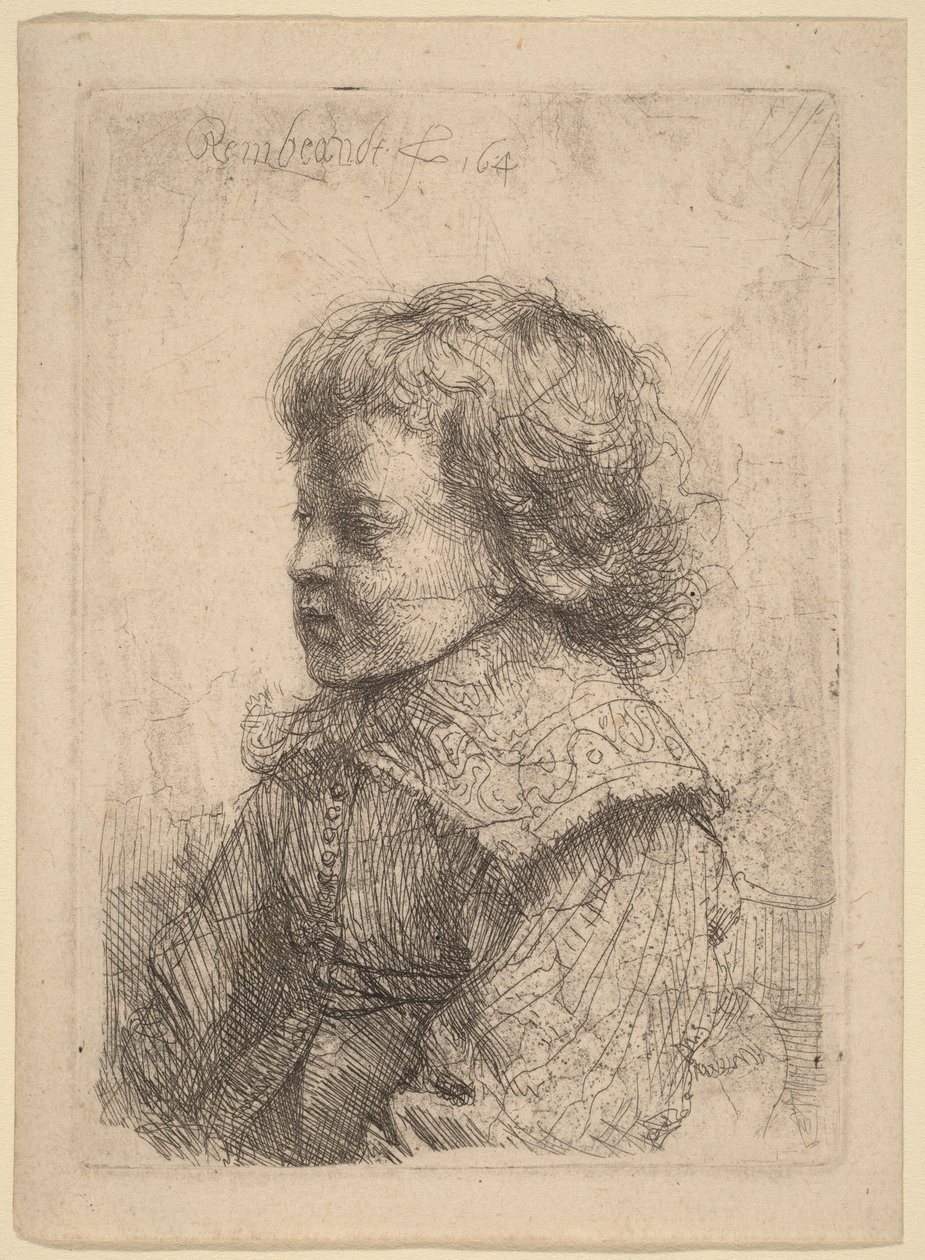 Portrait of a Boy in Profile by Rembrandt van Rijn