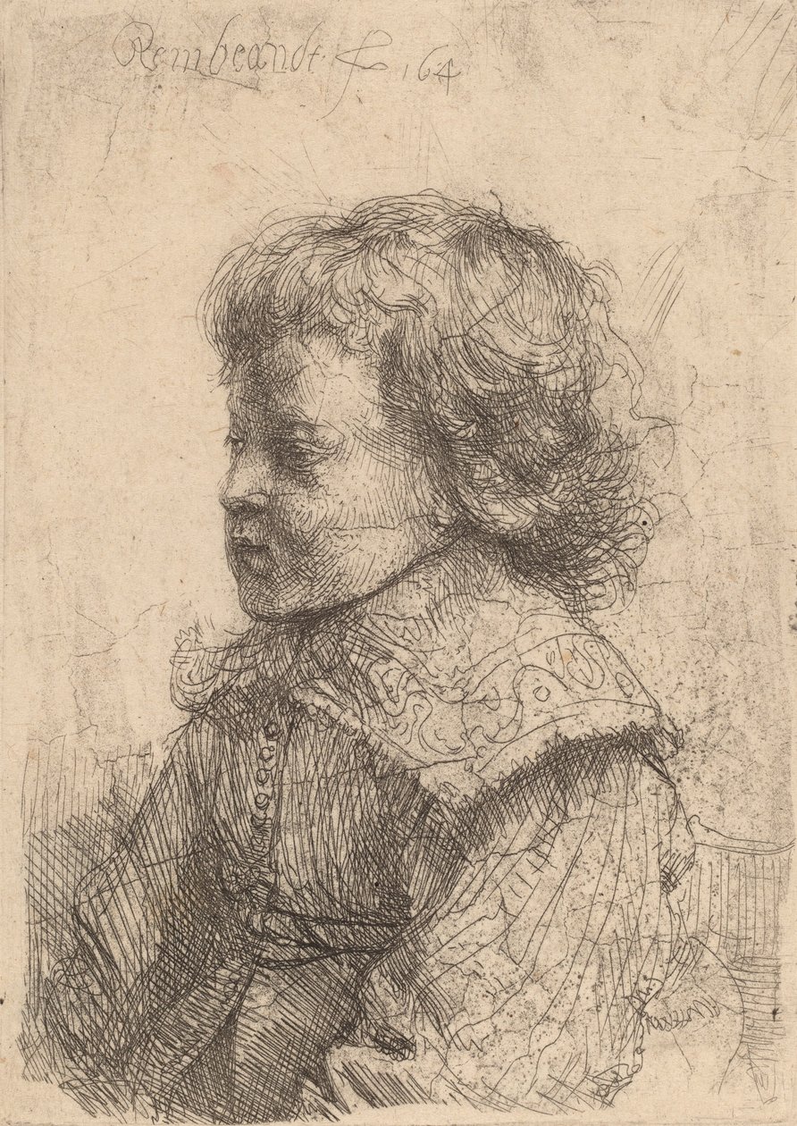 Portrait of a Boy in Profile, 1641 by Rembrandt van Rijn
