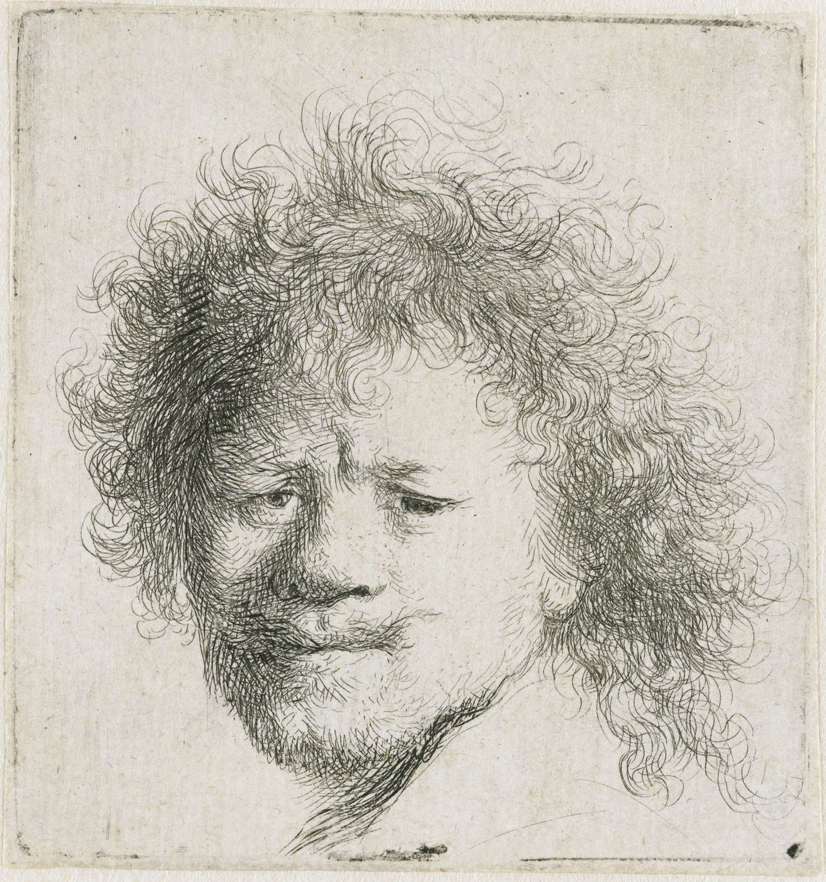 Self-portrait with Long Bushy Hair: Head Only by Rembrandt van Rijn