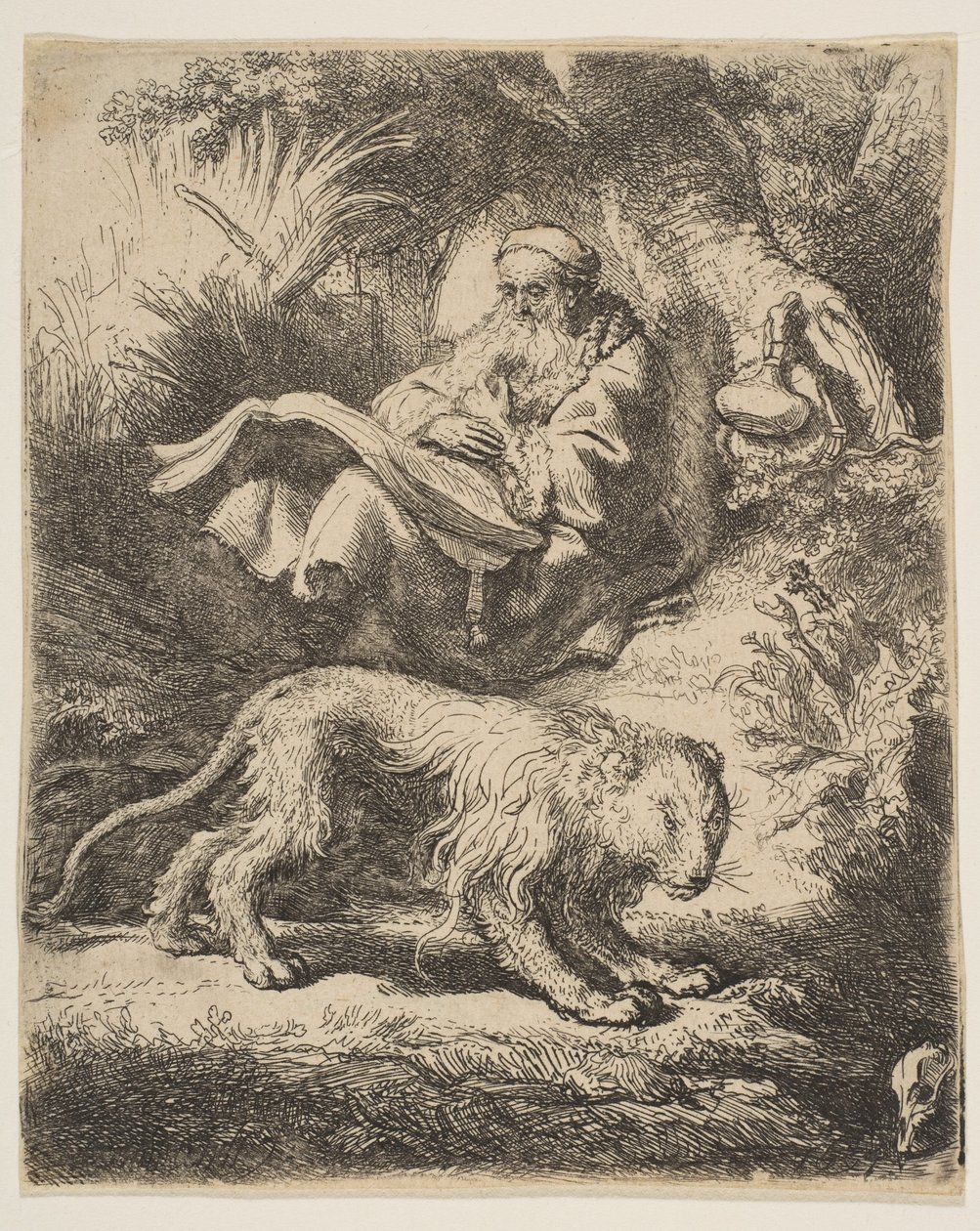 St. Jerome Reading by Rembrandt van Rijn