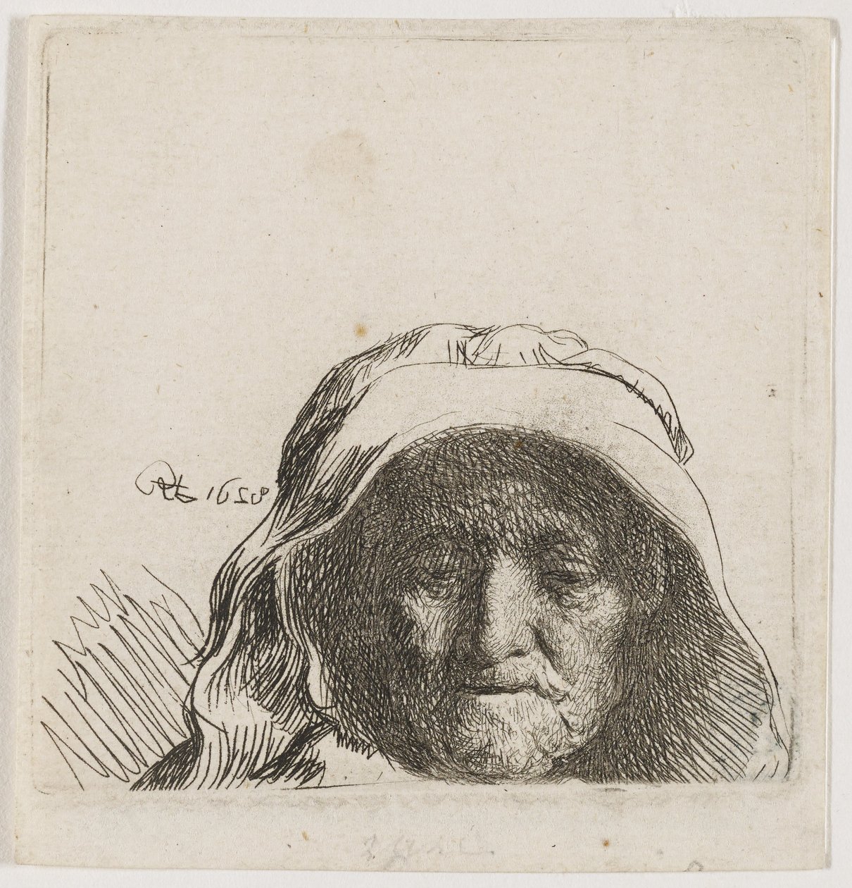 The Artist