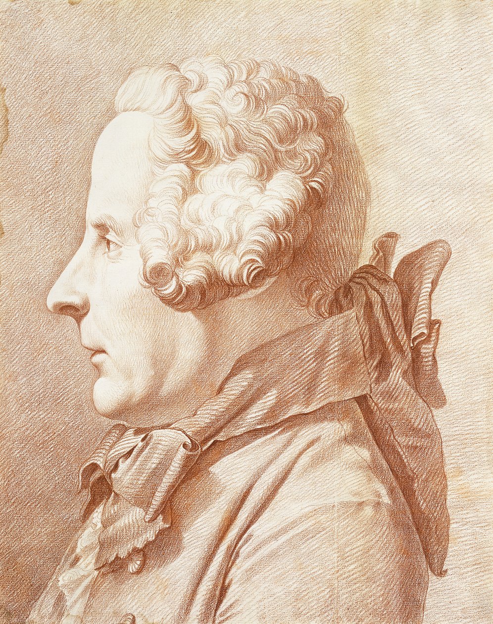 Portrait of Monsieur Hertault of Lienay, in Profile, turned to the Left by Rene Michel Slodtz
