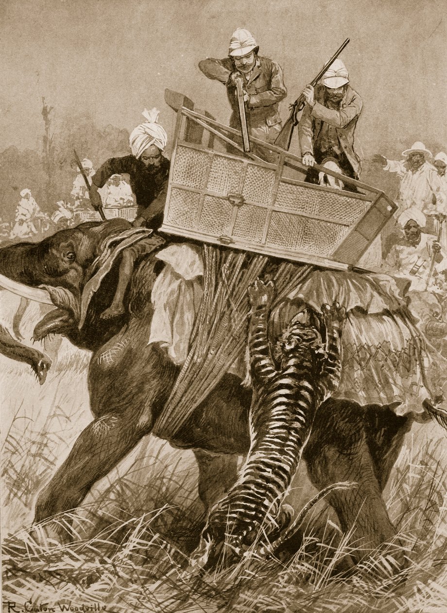 The Visit of the Prince of Wales to India, 1876: The Prince
