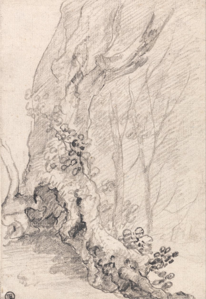 Study of an Old Tree-Trunk and Creeper-Covered Roots by Richard Wilson