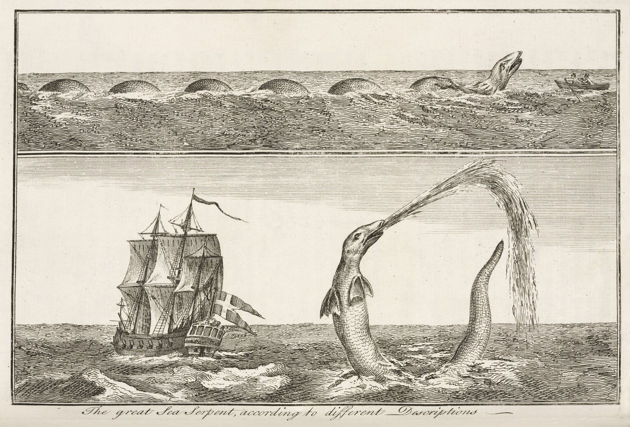 The Great Sea Serpent by John Pardon
