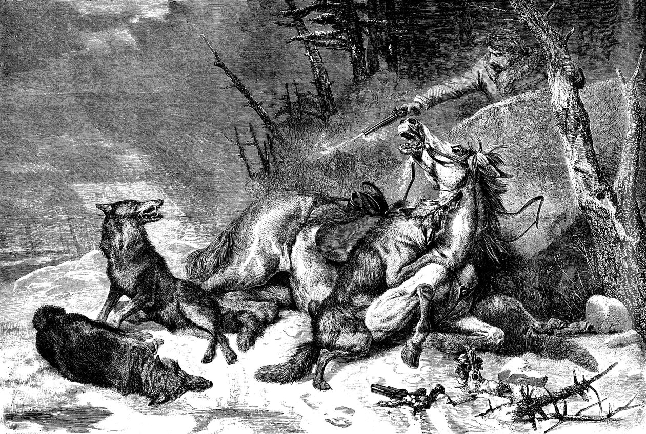Traveller on Horseback Attacked by a Pack of Wolves by Richard Ansdell