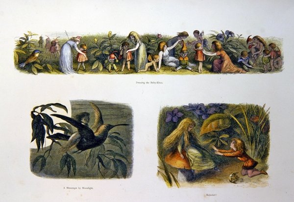 In Fairy Land by Richard Doyle